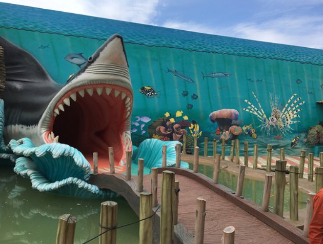 Planet Earth Aquarium, Mysuru (Mysore), Karnataka - Vushii.com Planet Earth Aquarium, Mysuru (Mysore), Karnataka - Vushii.com